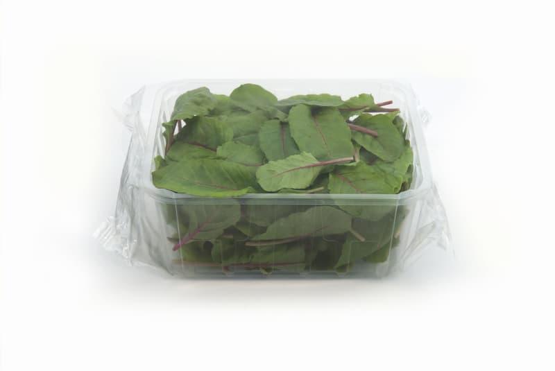 Babyleaf Red Chard