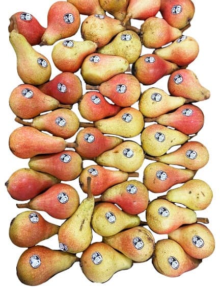 BIO Packham körte, lédig