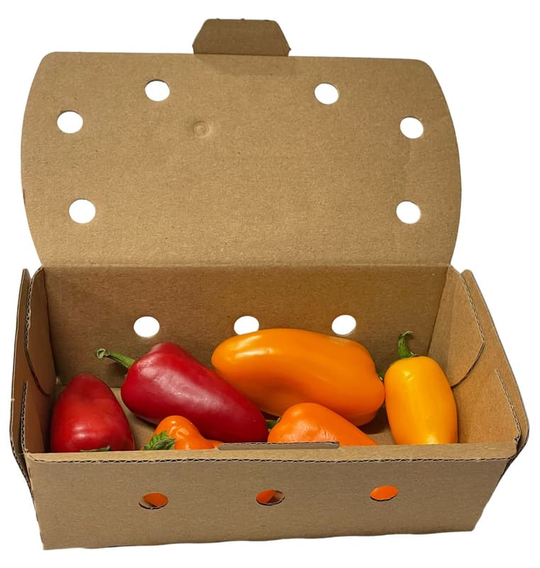 Hazai színes snack paprika válogatás Szili János termelőtől Kecskemétről, csomagolt