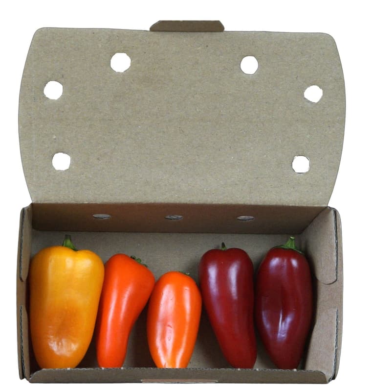 Hazai színes snack paprika válogatás Szili János termelőtől Kecskemétről, csomagolt