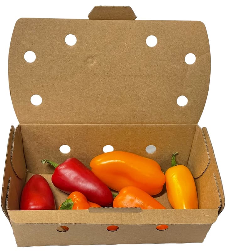 Hazai színes snack paprika válogatás Szili János termelőtől Kecskemétről, csomagolt