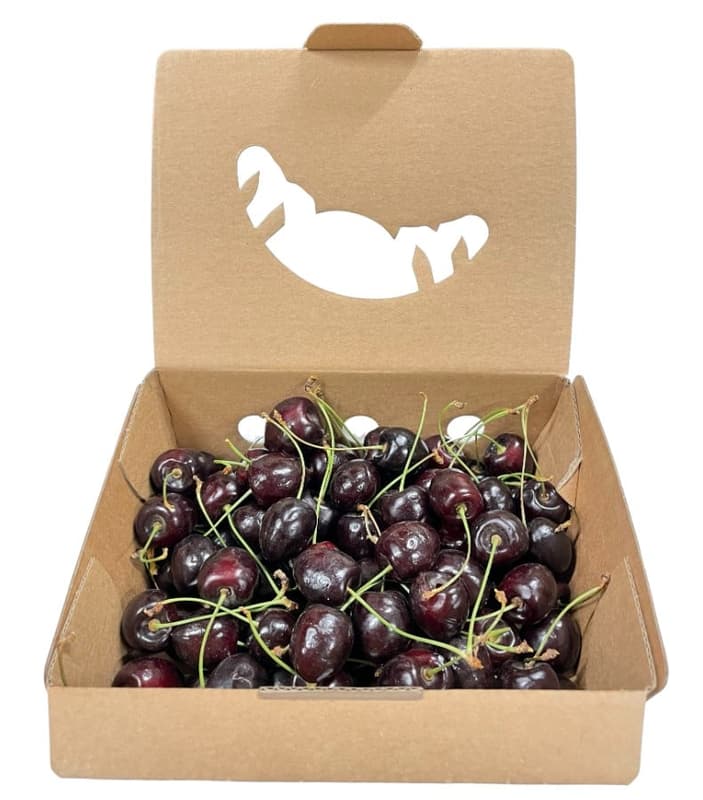 Hungarian Carmen cherry from Nagykörű, packed
