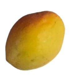 Hungarian apricot from Nagykörű, packed