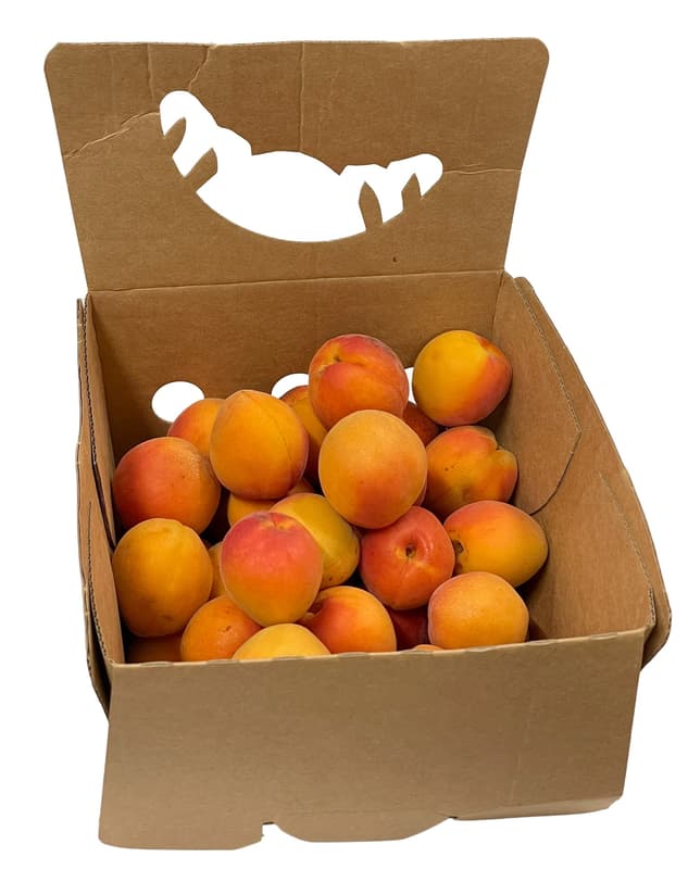 Hungarian apricot from Nagykörű, packed