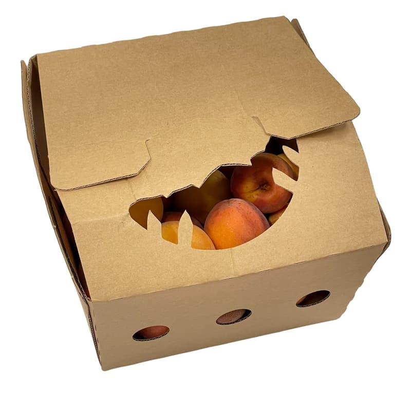 Hungarian apricot from Nagykörű, packed