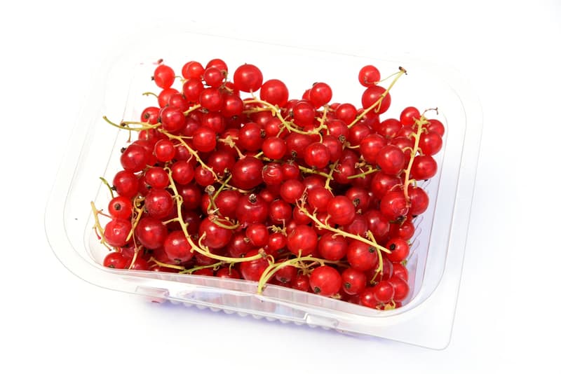Hazai BIO Organic Kingdom ribizli , csomagolt