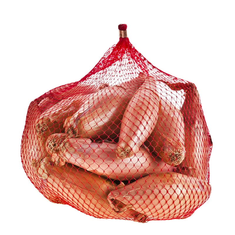Shallot onion
