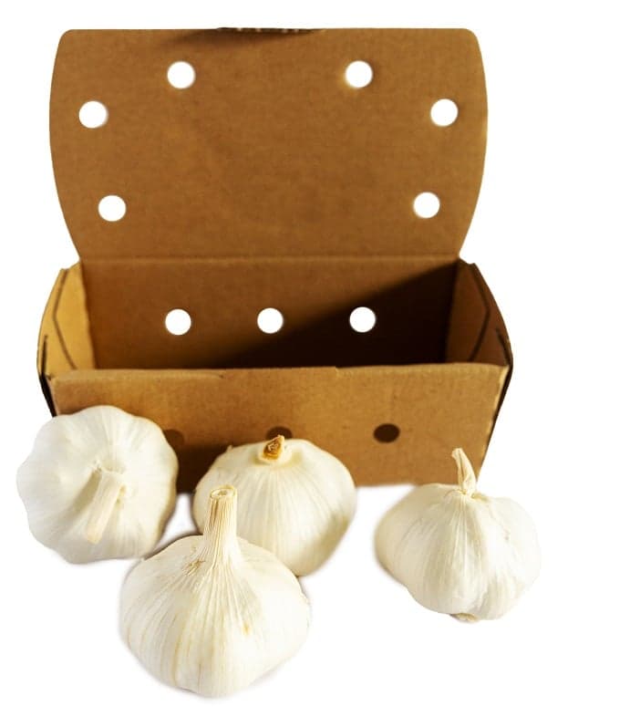 BIO garlic packaged