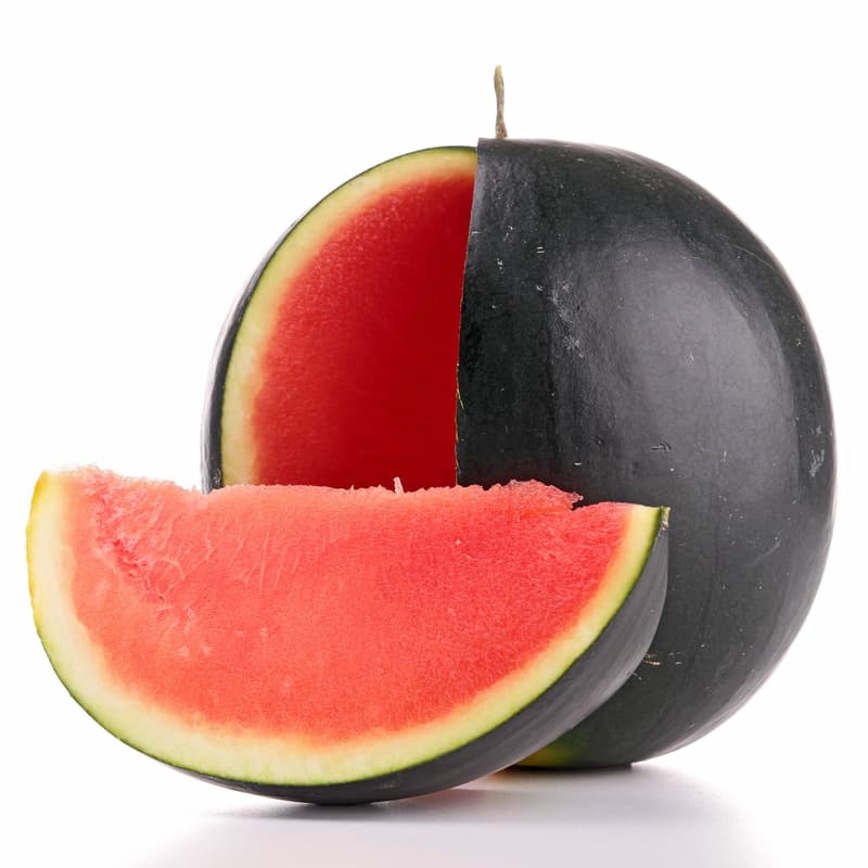 Hazai Magszegény görögdinnye, lédig