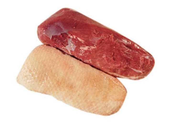 fattened goose breast fillet