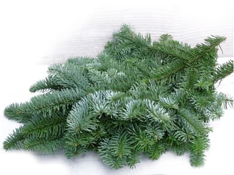 Prémium ezüst Nobilis fenyő ágak 0,8-1,1 Kg