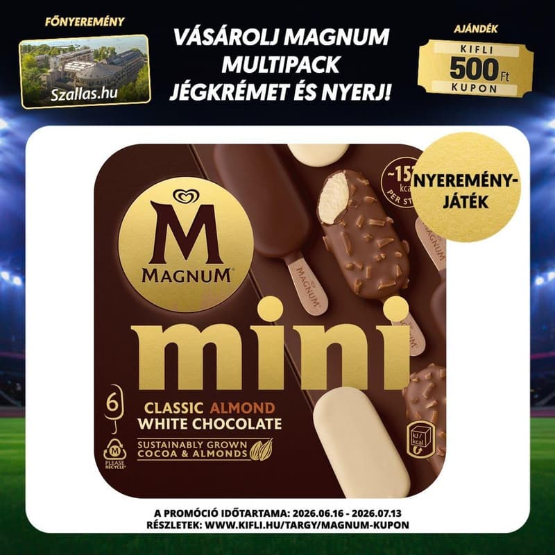 Magnum Mini Multipack mixed ice cream