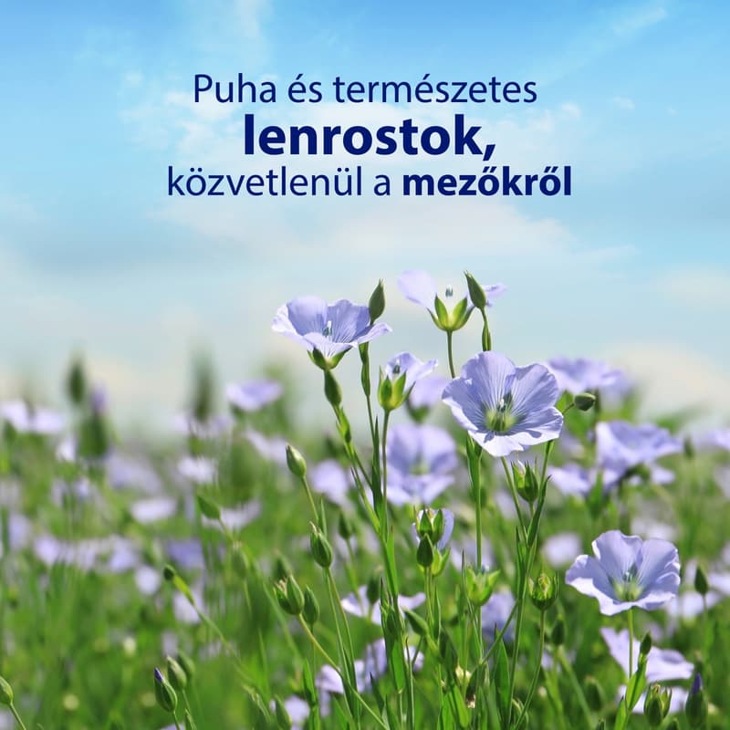 Zewa Almond Milk Bigpack nedves toalettpapír