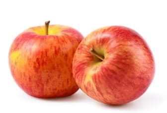 Hungarian BIO Organic Kingdom gala apple, loose