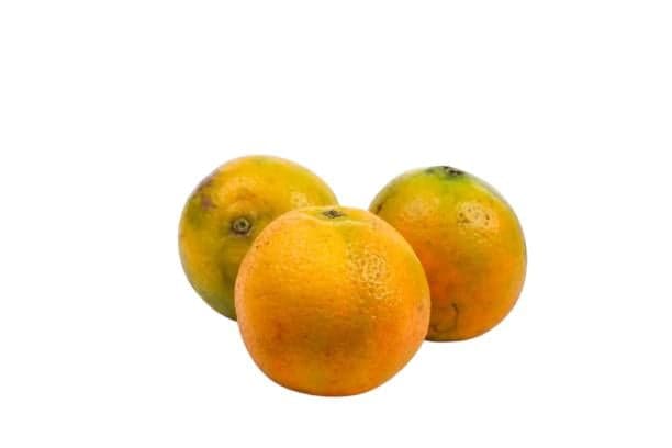 Narancs (kezeletlen), lédig