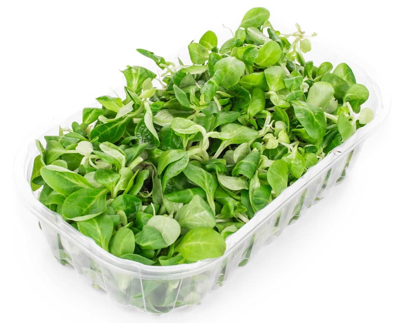 BIO Madársaláta, csomagolt