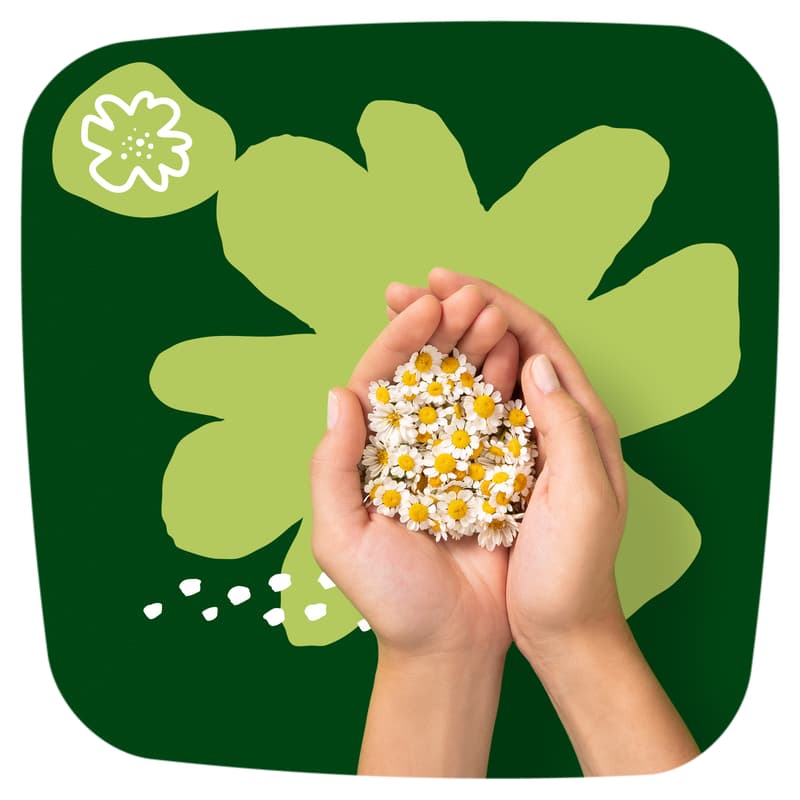 Naturella Ultra Night Egészségügyi Betét, 4-es méret