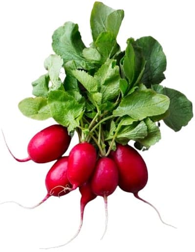 Hazai BIO Organic Kingdom hónapos retek