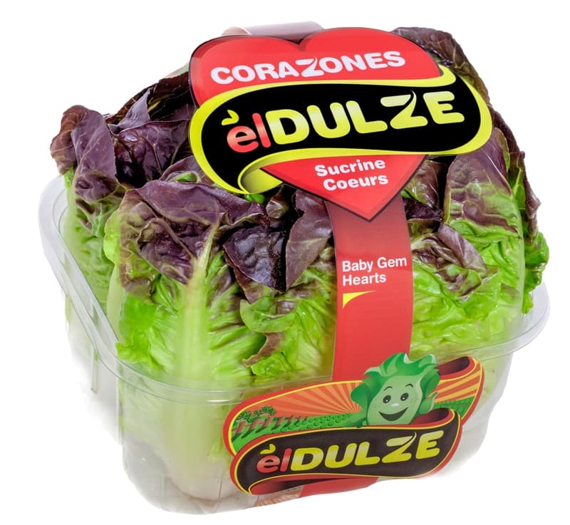 El Dulze vörös baby gem saláta, csomaglt (4 db)