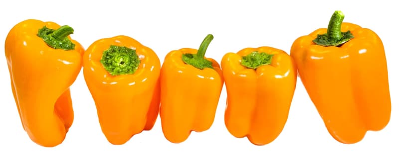 Tatayoyo premium paprika