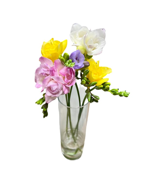 Freesia bouquet