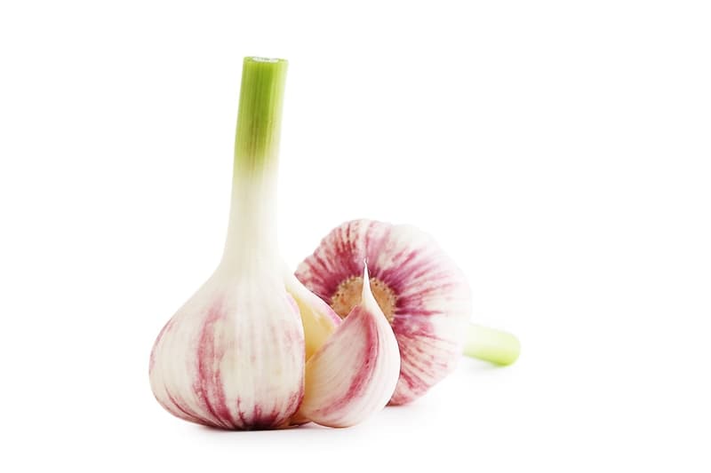 New, young garlic from a local grower (1 piece)
