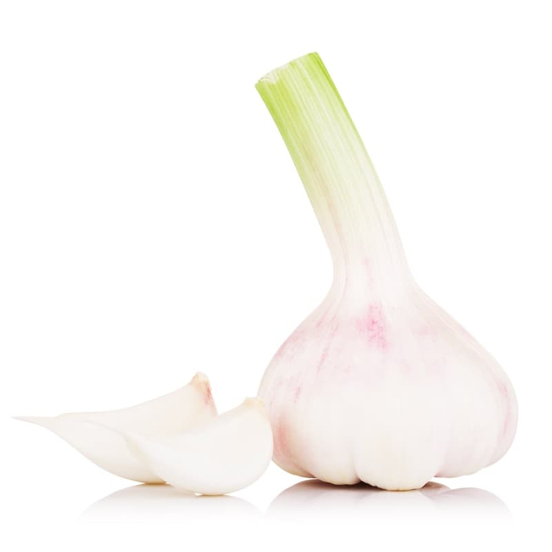 New, young garlic from a local grower (1 piece)