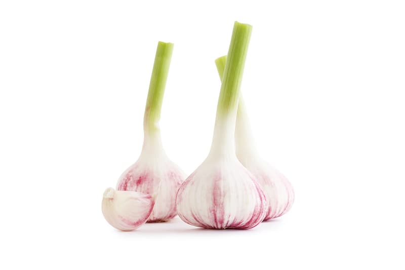 New, young garlic from a local grower (1 piece)
