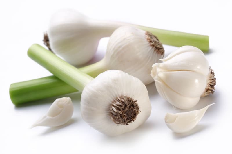 New, young garlic from a local grower (1 piece)