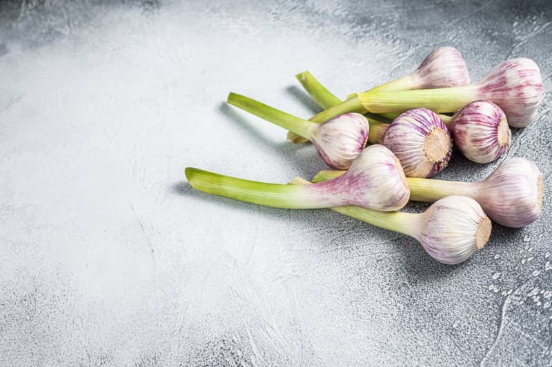 New, young garlic from a local grower (1 piece)
