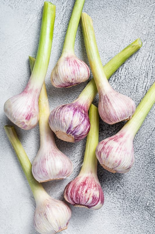 New, young garlic from a local grower (1 piece)